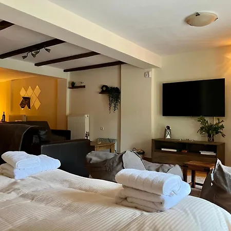 Del Mountain Apartament *